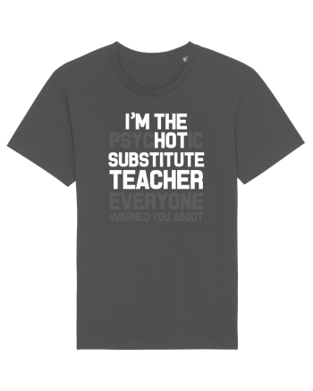 SUBSTITUTE TEACHER Anthracite