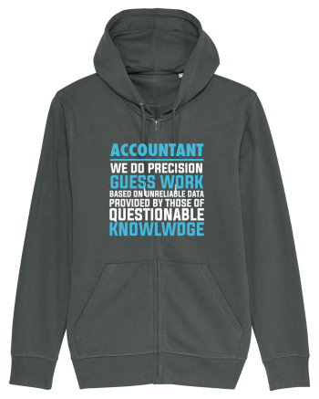 ACCOUNTANT Anthracite