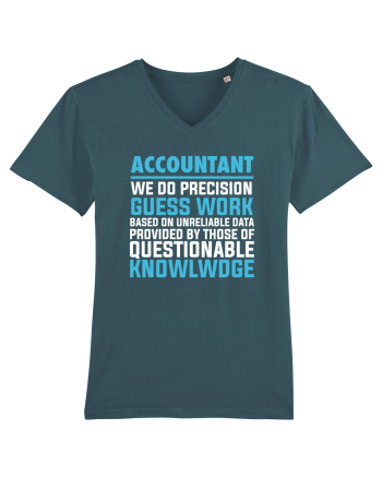 ACCOUNTANT Stargazer
