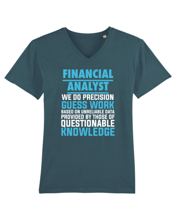 FINANCIAL ANALYST Stargazer