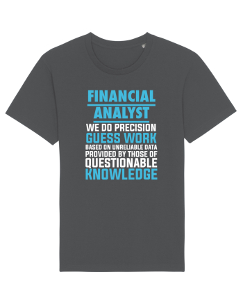 FINANCIAL ANALYST Anthracite
