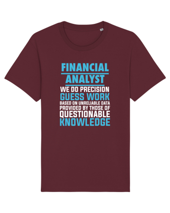 FINANCIAL ANALYST Burgundy