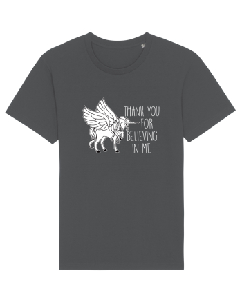 UNICORN Anthracite