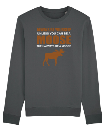 MOOSE Anthracite