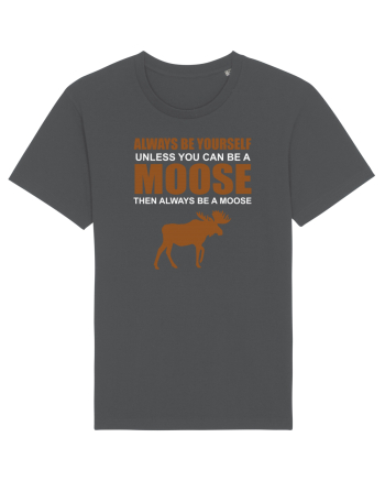 MOOSE Anthracite
