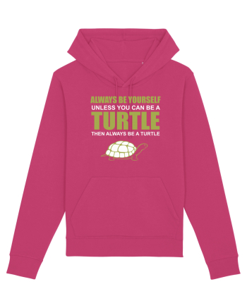 TURTLE Raspberry