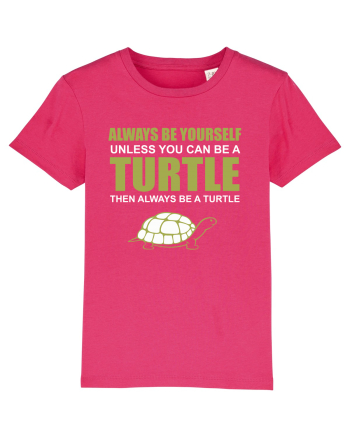 TURTLE Raspberry