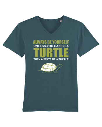 TURTLE Stargazer