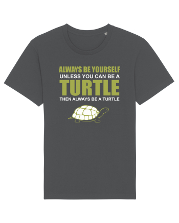 TURTLE Anthracite
