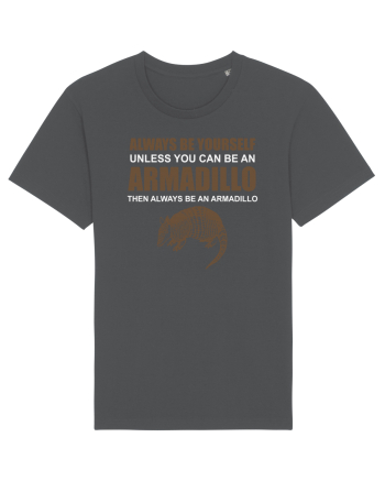 ARMADILLO Anthracite