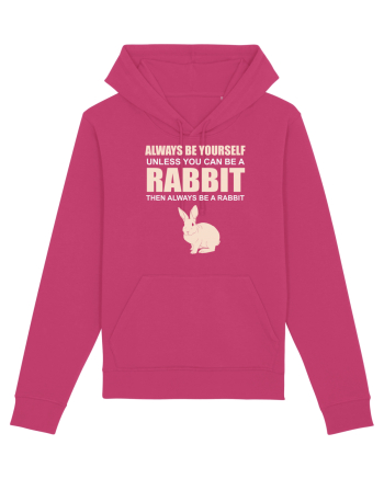 RABBIT Raspberry