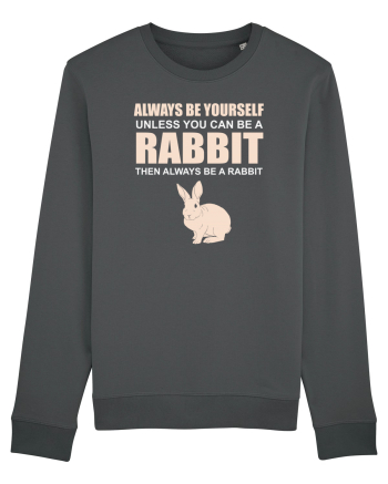 RABBIT Anthracite