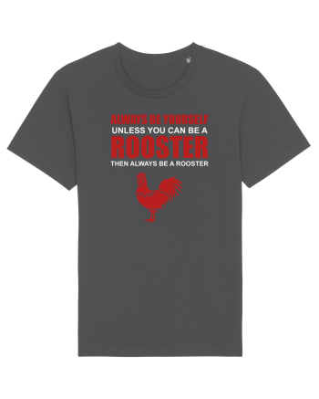 ROOSTER Anthracite