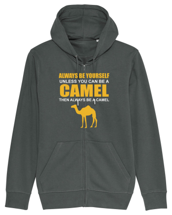 CAMEL Anthracite
