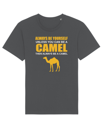 CAMEL Anthracite