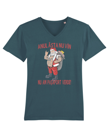 Anul asta nu vin, nu am pasaport verde! Stargazer