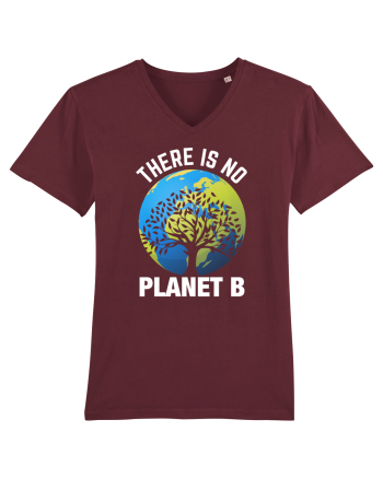 There Is No Planet B Burgundy
