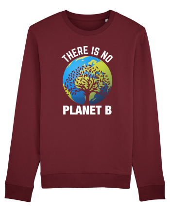 There Is No Planet B Burgundy