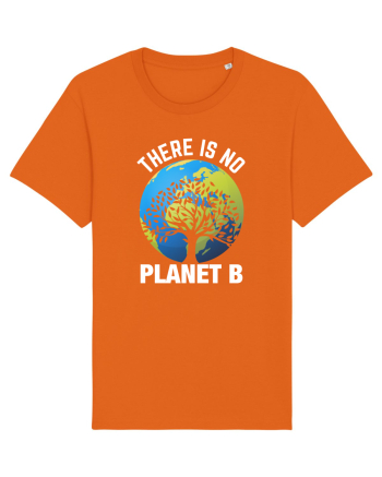 There Is No Planet B Bright Orange