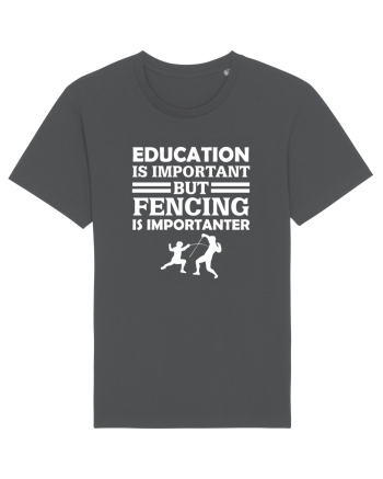 FENCING Anthracite