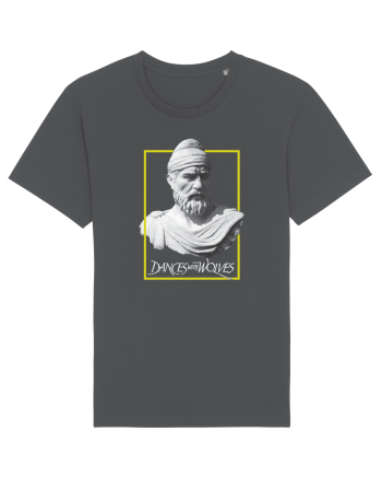 Dansand cu lupii Anthracite