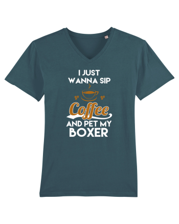 COFFEE AND BOXER Stargazer