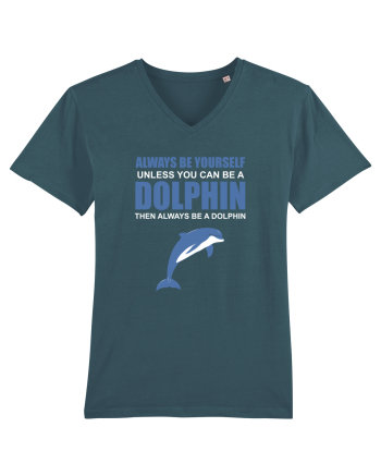 DOLPHIN Stargazer