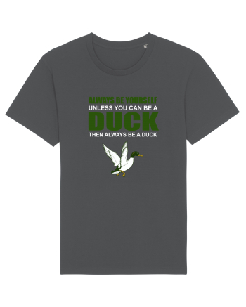 DUCK Anthracite