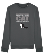 CAT Bluză mânecă lungă Unisex Rise