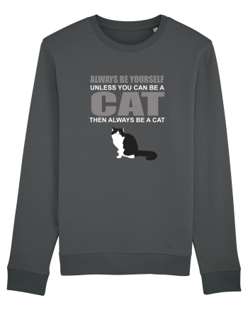 CAT Anthracite