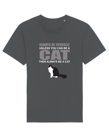 CAT Anthracite