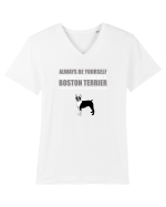 BOSTONTERRIER Tricou mânecă scurtă guler V Bărbat Presenter