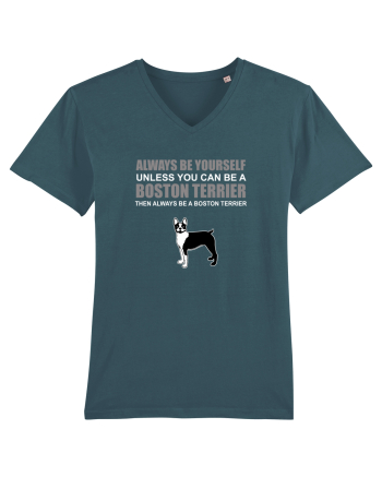 BOSTONTERRIER Stargazer