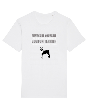 BOSTONTERRIER White