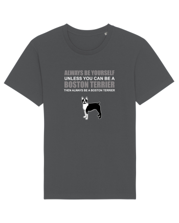 BOSTONTERRIER Anthracite