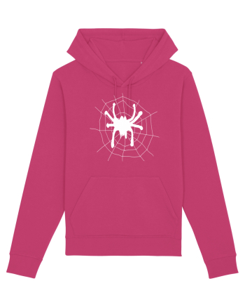 Spider Raspberry