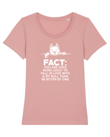 PIT BULL Canyon Pink