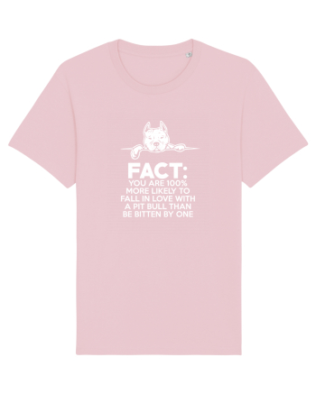 PIT BULL Cotton Pink