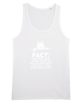 PIT BULL White
