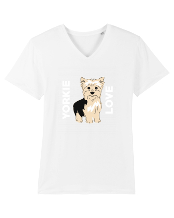 YORKIE White