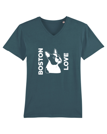 BOSTON LOVE Stargazer