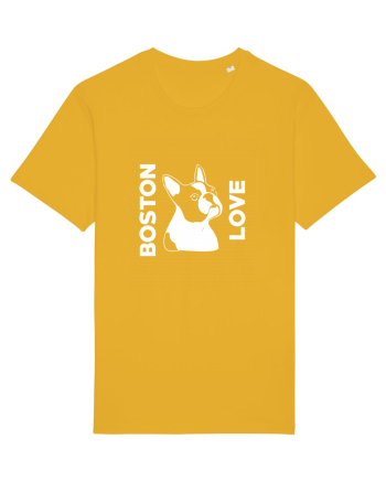 BOSTON LOVE Spectra Yellow