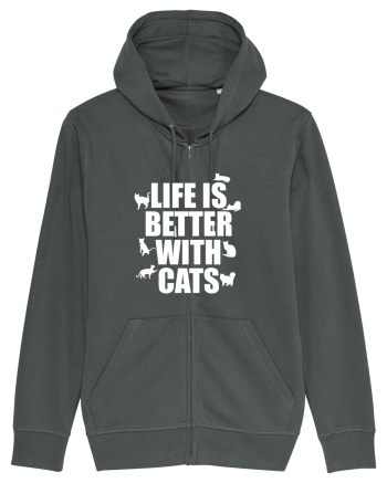 CATS Anthracite