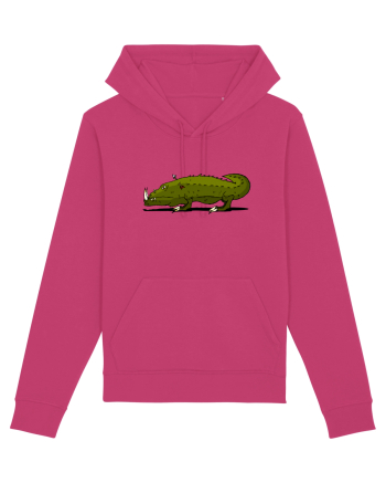 CROCODIL Raspberry