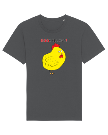 EGGcellent Anthracite