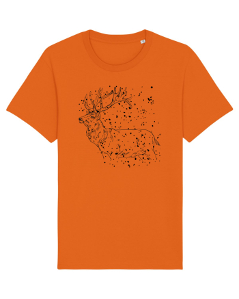 Cerb  Bright Orange