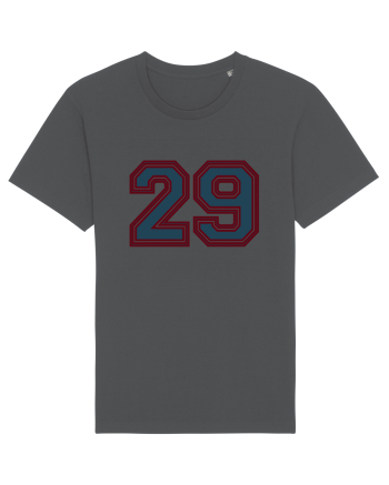 Jucator Numarul 29 Anthracite