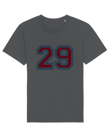 Jucator Numarul 29 Anthracite