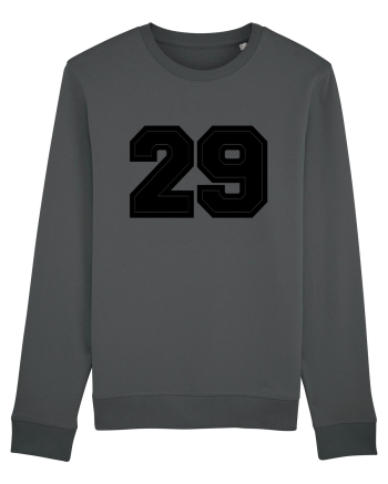 Jucator Numarul 29 Anthracite