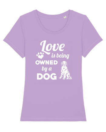 DOG Lavender Dawn